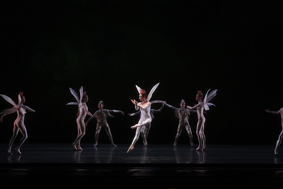 20160317_Midsummer_Night's_Dream_DR_Closeup_IMG_5480