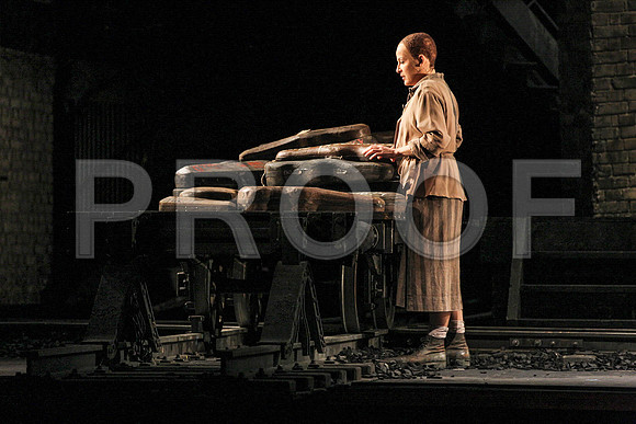 The Passenger Florida Grand Opera by Alexander Medvedev
