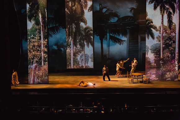 Before Night Falls Florida Grand Opera by Jorge Martin with Dolores M. Koch