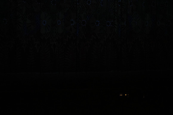 20160212_Year_of_The_Rabbit_Wide_PR20160212__S5A2641
