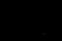 20160212_Year_of_The_Rabbit_Wide_PR20160212__S5A2640