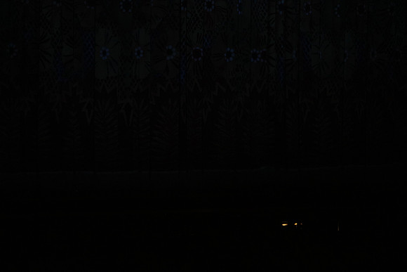 20160212_Year_of_The_Rabbit_Wide_PR20160212__S5A2640