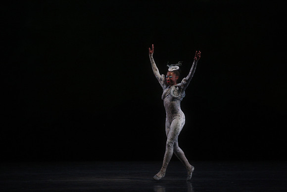 20160317_Midsummer_Night's_Dream_DR_Closeup_IMG_5421