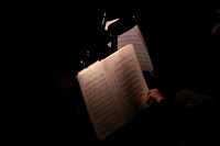 20240417_Swan_Lake_Orchestra_DSC5067.ARW
