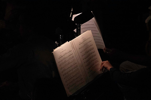 20240417_Swan_Lake_Orchestra_DSC5067.ARW
