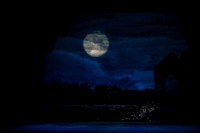 20240418_Swan_Lake_ACT_2_2_Cast_DSC5530.ARW