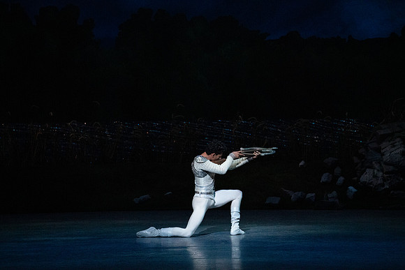 20240418_Swan_Lake_ACT_2_2_Cast_DSC5681.ARW