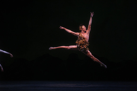 20160317_Midsummer_Night's_Dream_DR_Closeup_IMG_5519