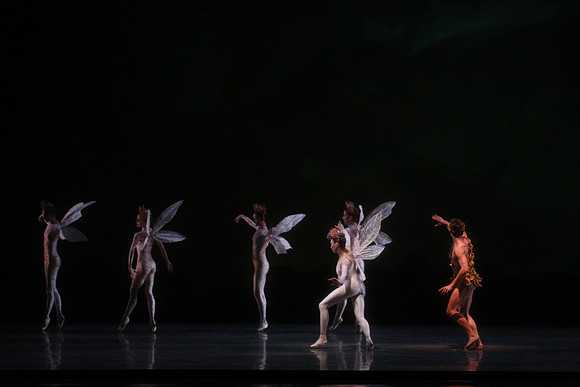 20160317_Midsummer_Night's_Dream_DR_Closeup_IMG_5561