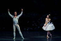 Swan Lake 2 Cast  for Amber double cheque it Tricia 0288-2