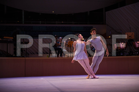 20130419_9C7C7302