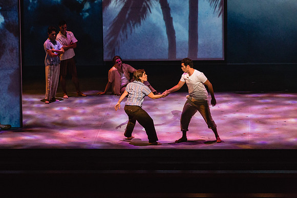 Before Night Falls Florida Grand Opera by Jorge Martin with Dolores M. Koch