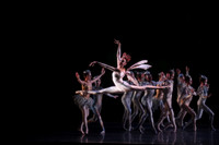 20160317_Midsummer_Nights_Dream_DR_Closeup_IMG_6692