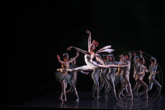 20160317_Midsummer_Nights_Dream_DR_Closeup_IMG_6692