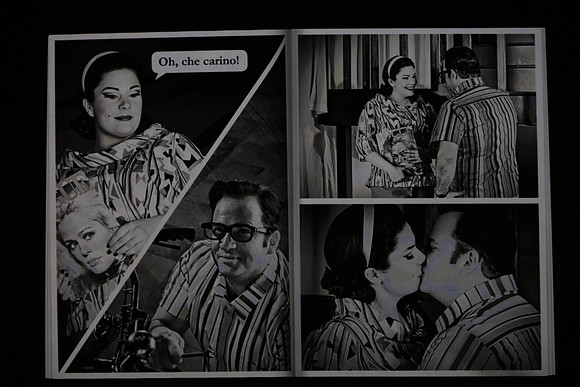 Don Pasquale Florida Grand Opera by Giovanni Ruffini and Gaetano Donizetti
