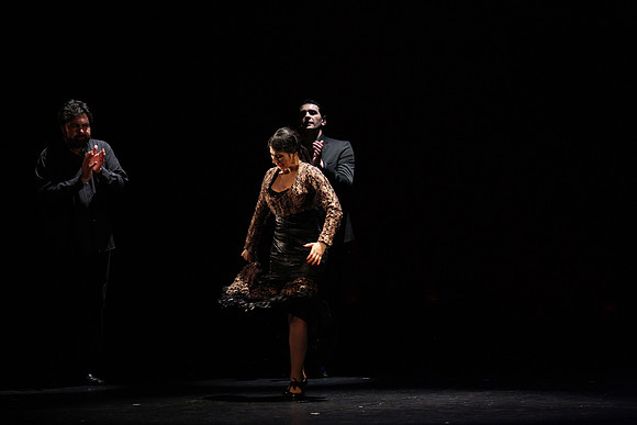 20140227_Flamenco_Festival_1_9C7C0082