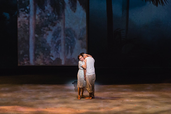 Before Night Falls Florida Grand Opera by Jorge Martin with Dolores M. Koch