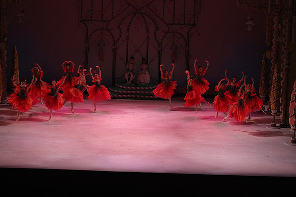 20141229_Nutcracker_WPB_Flowers__CG3P2207