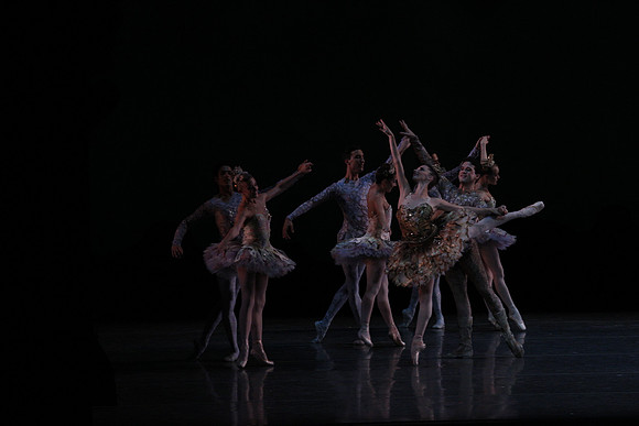 20160318_Midsummer_Night's_Dream_PR_Closeup_G3P0005