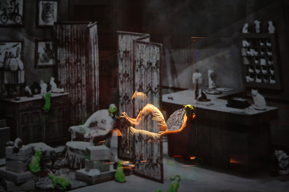 Don Pasquale Florida Grand Opera by Giovanni Ruffini and Gaetano Donizetti