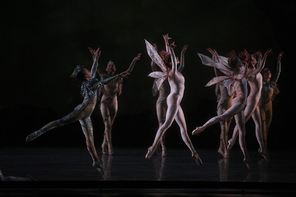 20160317_Midsummer_Night's_Dream_DR_Closeup_IMG_5635