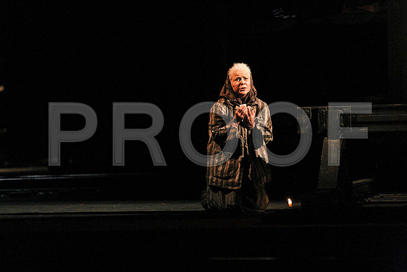 The Passenger Florida Grand Opera by Alexander Medvedev