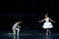 Swan Lake 2 Cast  for Amber double cheque it Tricia 0171