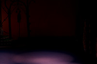 20141229_Nutcracker_WPB_Flowers__CG3P2017