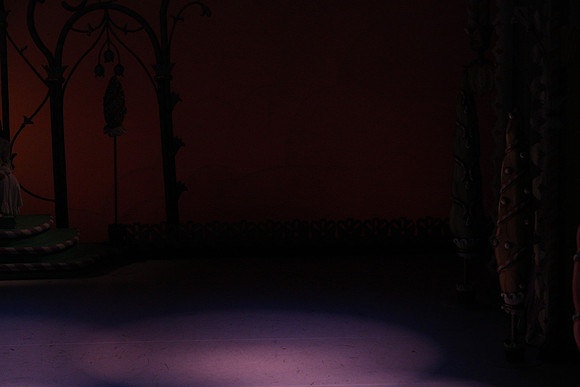 20141229_Nutcracker_WPB_Flowers__CG3P2017