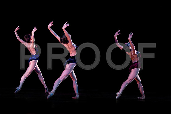 7025_DG_VISCERA_Liam_Scarletts_Miami_City_Ballet_FL_AL1B0148 3