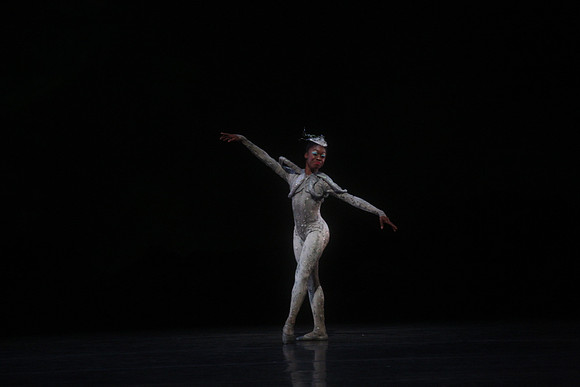 20160317_Midsummer_Night's_Dream_DR_Closeup_IMG_5420