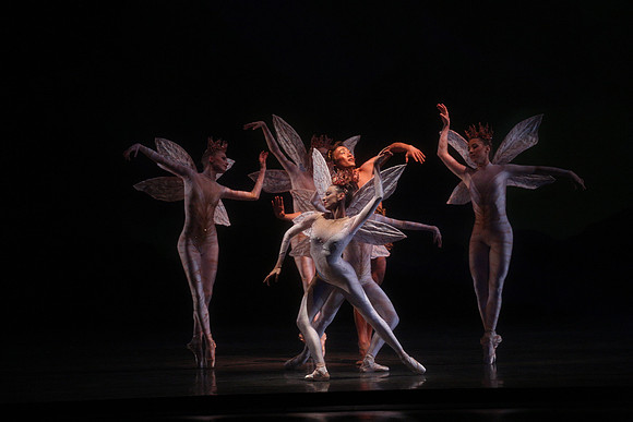 20160317_Midsummer_Night's_Dream_DR_Closeup_IMG_5620