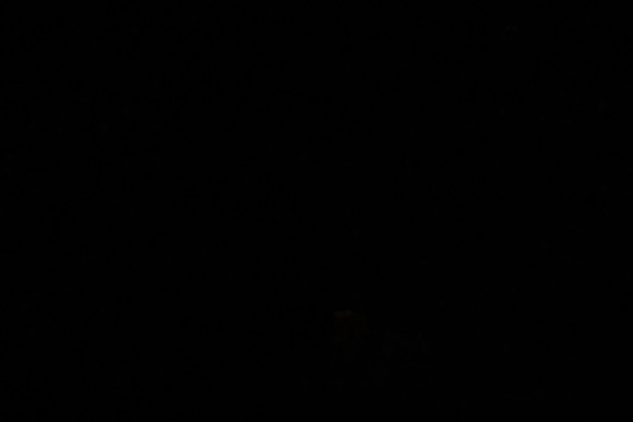 20130328_file004287