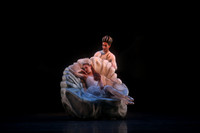 20160317_Midsummer_Nights_Dream_DR_Closeup_IMG_8209
