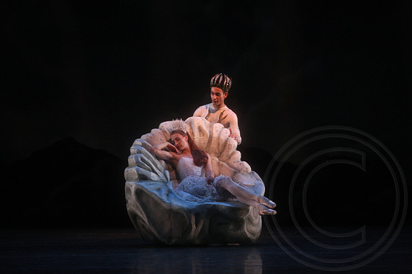 20160317_Midsummer_Nights_Dream_DR_Closeup_IMG_8209