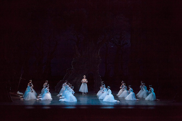 7064_DG_GISELLE_Broward_Preformance_Miami_City_Ballet_FL_IMG_4166
