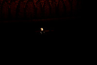 20191020_Stravinsky_Violin_Concerto_2_Cast_173A6490