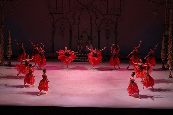 20141229_Nutcracker_WPB_Flowers__CG3P2201