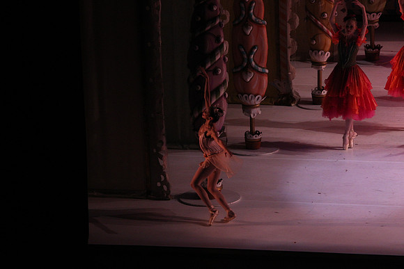 20141229_Nutcracker_WPB_Flowers__CG3P2167