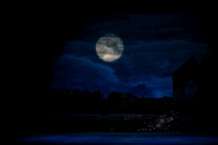 20240418_Swan_Lake_ACT_2_2_Cast_DSC5528.ARW