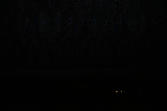 20160212_Year_of_The_Rabbit_Wide_PR20160212__S5A2640