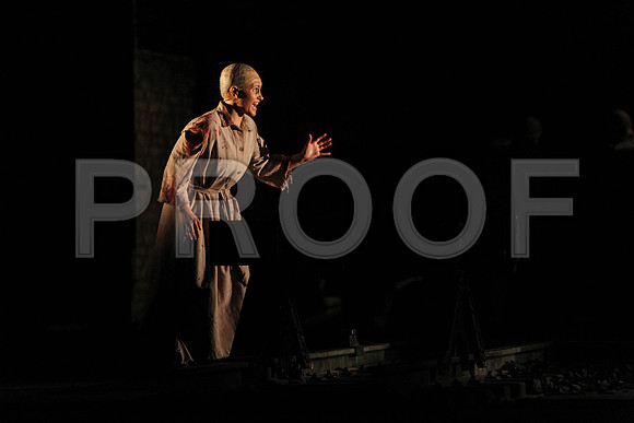 The Passenger Florida Grand Opera by Alexander Medvedev