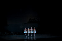 20151025_MCB_Swan_Lake_2Cast_Arsht_IMG_0010