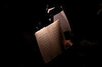 20240417_Swan_Lake_Orchestra_DSC5064.ARW