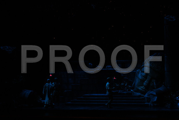 20150303_Pearl_Fisher_Act2_CG3P5748