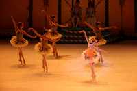 20141229_Nutcracker_WPB_Marzipan_CG3P1536