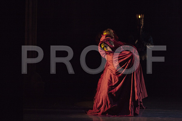 5029_DG_Miami_City_Ballet_Romeo_and_Juliet_Broward_center_2011_MG_4518