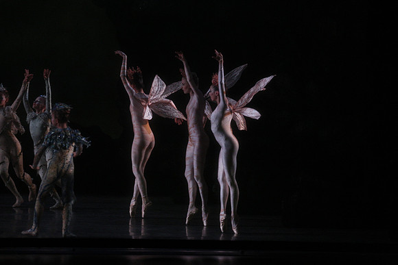 20160317_Midsummer_Night's_Dream_DR_Closeup_IMG_5640