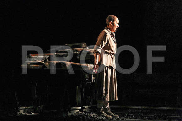 The Passenger Florida Grand Opera by Alexander Medvedev