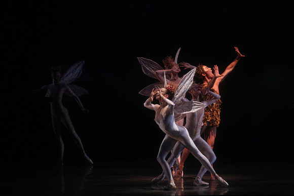 20160317_Midsummer_Night's_Dream_DR_Closeup_IMG_5600